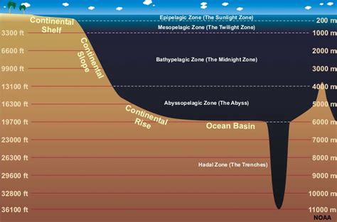 1 Best Ideas For Coloring Ocean Zones Depth