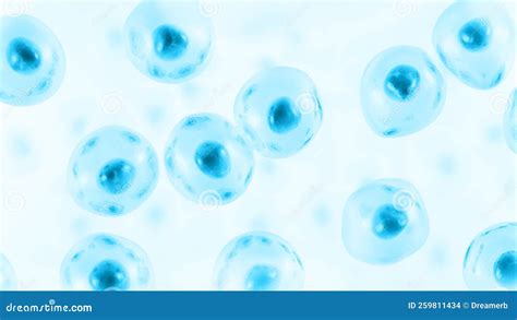 Embryonic Stem Cell Human Cell Stock Illustration Illustration Of Medicine Fertilization