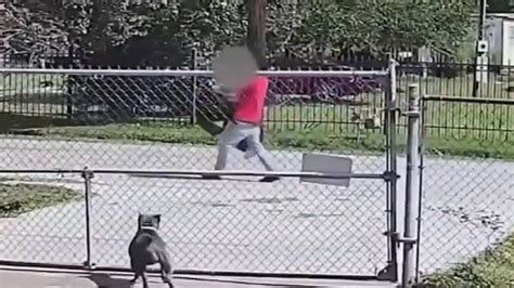 Screaming Sex Trafficking Victim Is Dragged Back To Captivity After Attempting To Flee From