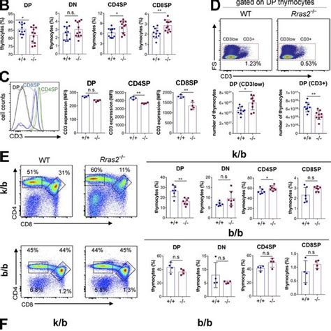 Reduced Percentage Of DP Thymocytes In Rras2 Deficient Mice A Flow