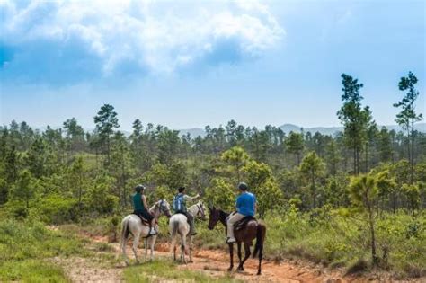 Lodges Blancaneaux Lodge San Ignacio Central De Reservas