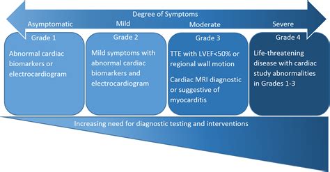 Immune Checkpoint Inhibitor Myocarditis Pathophysiological