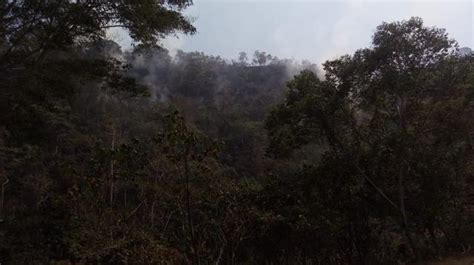 Incendio Forestal En Cusco Fuego Consumió 25 Hectáreas De Terreno Fotos Peru El Comercio PerÚ