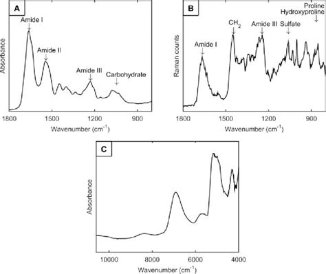 A Ftir Spectrum B Raman Spectrum And C Nir Spectrum Of