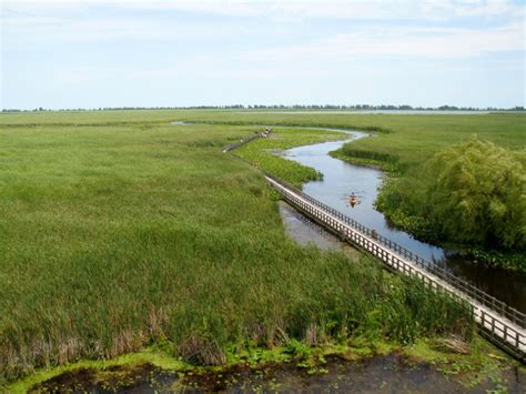 National Parks Summer Guide Point Pelee