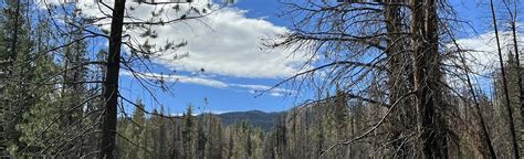 Devils Bathtub Trail California 206 Reviews Map Alltrails