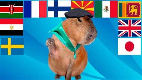 Capybara In Different Languages Youtube