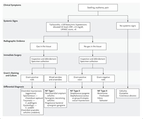 Necrotizing Soft Tissue Infections Nejm