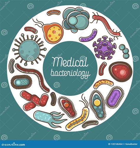 Il Manifesto Medico Di Batteriologia Con Gli Organismi Nocivi Vector L Illustrazione