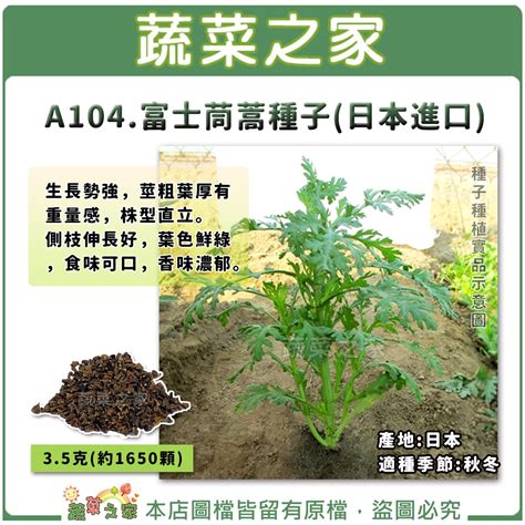 【蔬菜之家滿額免運】a104富士茼蒿種子日本進口 35克約1650顆葉色鮮綠 可口 香味濃郁 生長勢強 蝦皮購物