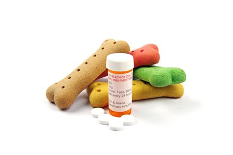 Cephalexin for Dogs - Is It Safe? Dosage and Side Effects - Drug Genius