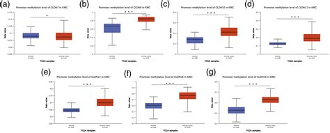 Comprehensive Analysis Of The Expression And Prognosis Value Of Claudin