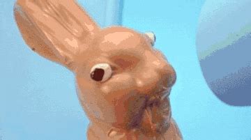 Chocolate Easter GIFs - Find & Share on GIPHY