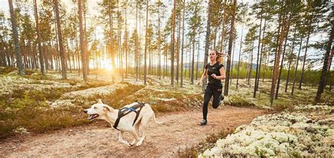 Canicross Qué Es Y Cuáles Son Los Beneficios De Correr Con Tu Perro