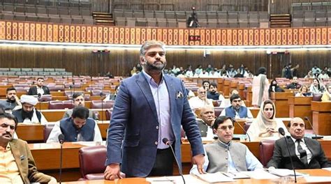 Pti S Zain Qureshi Resigns As Deputy Parliamentary Leader To Ensure