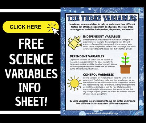 What Are Variables In Science - Little Bins for Little Hands