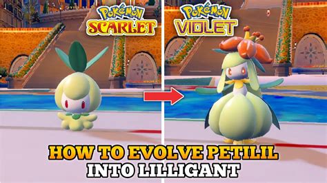 How To Evolve Petilil Into Lilligant In Pokemon Scarlet Violet Paldea