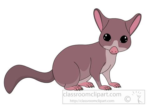 Marsupial Clipart Clipart Bushtail Possum Clipart 59714 Classroom