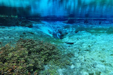 Naked Spring No 2 Blue Springs Park Gilchrist County F Flickr