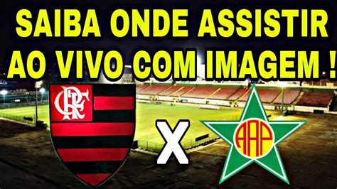 Portuguesa X Flamengo Ao Vivo Futemax Flamengo Ao Vivo Imagens