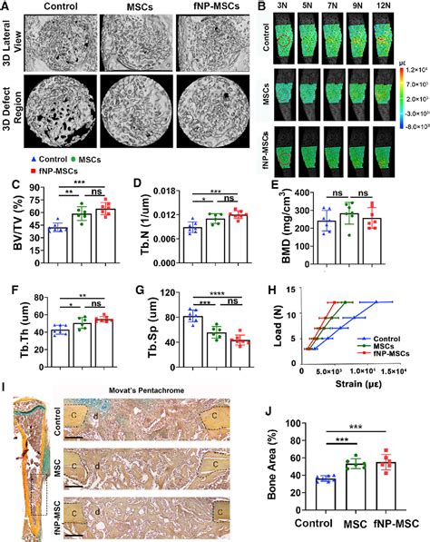 Figure From Single Cell Spatiotemporal Analysis Reveals Cell Fates