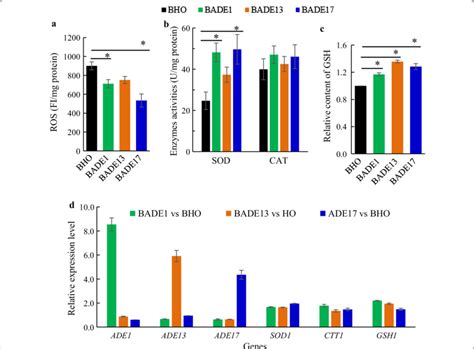 Influence Of The Ade Genes Overexpression On Ros Response And Download Scientific Diagram