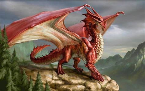 Top Hd Dragon Wallpapers Images Backgrounds Desktop Wallpapers