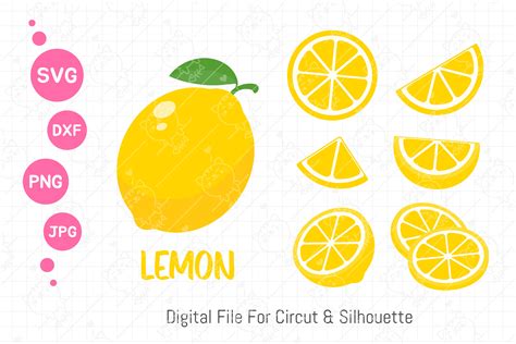 Lemon Svg Bundle Lemon Fruit Slice Gr Fico Por Foxgrafy Creative