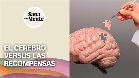 El Sistema De Recompensa C Mo El Cerebro Asocia Esfuerzo Y Premio