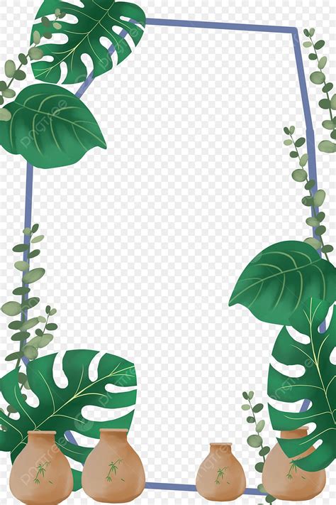 Tropical Plants Clipart Hd PNG Tropical Plant Border Small Fresh