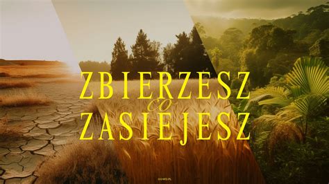 2023 07 26 ZBIERASZ CO ZASIEJESZ Pastor Maciek YouTube