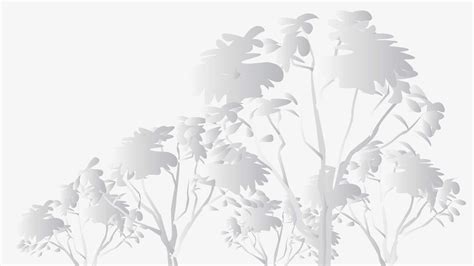 Plain White Background 1000 Free Download Vector Image Png Psd Files