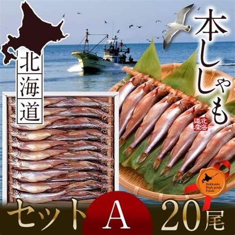 ししゃも シシャモ 北海道産 送料無料 ギフト 本ししゃも 柳葉魚 干物 オス20尾 メス20尾 工場直送 A 【新作入荷】