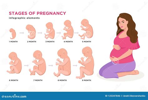 Desarrollo Embrionario Ciclo Mes A Mes De A Meses Hasta El 50 OFF