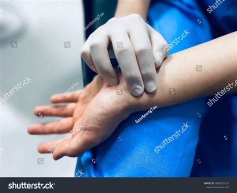 Doctor Checking Patients Pulse Rate Stock Photo 1808825137 Shutterstock