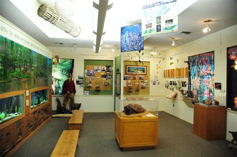 Sportsman Room At The West Tennessee Delta Heritage Center And Museum