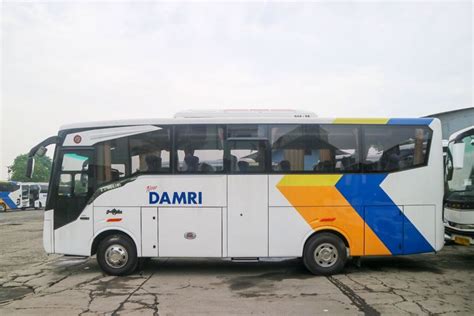 Foto Peremajaan Bus Bandara Damri Pakai Unit Medium Super Nyaman