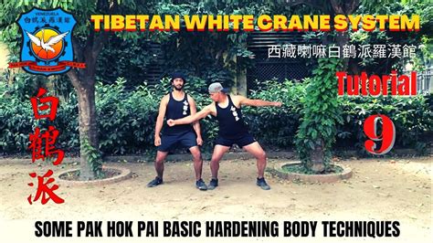 Sifu Arun Tutorial Pak Hok Pai Lama Kung Fu Tibetan White Crane