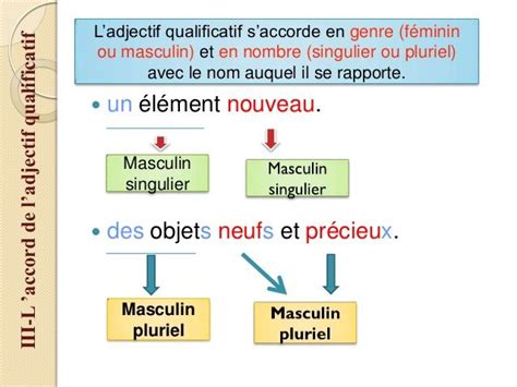 L Accord De L Adjectif Qualificatif Adjectifs Programme Coll Ge