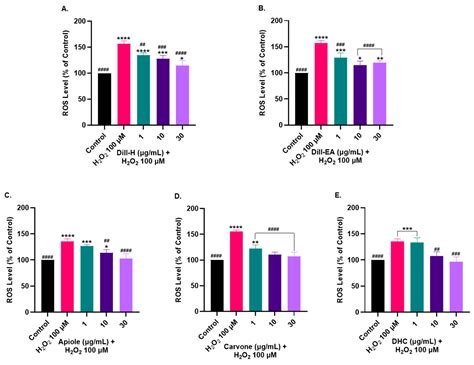 Ijms Free Full Text Neuroprotection By Anethum Graveolens Dill