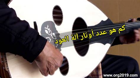 كم هو عدد أوتار آلة العود