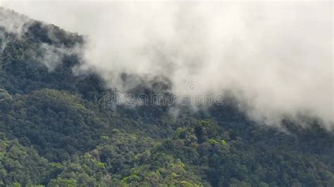 Mountains With Rainforest And Jungle Sumatra Indonesia Stock Video