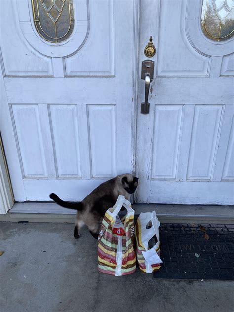 best drop off picture i’ve taken : r/doordash