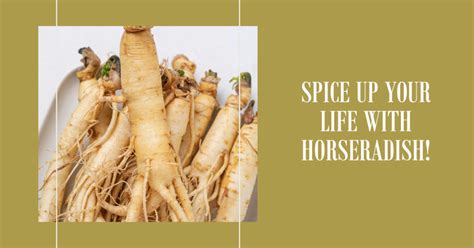 Health Benefits of Horseradish | Psyspeaks