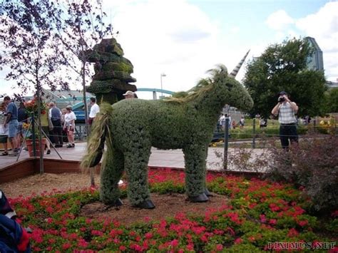 Topiary Art | Art