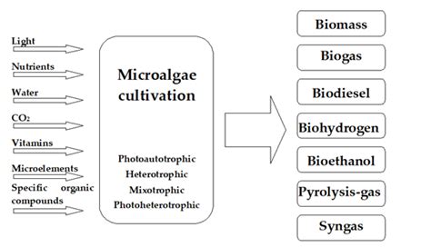 Microalgae Cultivation Technologies Encyclopedia Mdpi