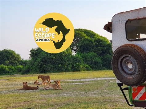 Wild Escape Africa Kampala All You Need To Know Before You Go