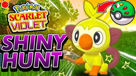 Live Grookey Shiny Hunting In Pokemon Scarlet And Violet Youtube