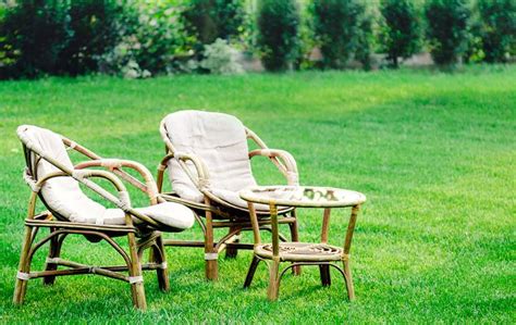 The Ultimate Guide To Lawn Care Tips For A Lush And Healthy Yard In