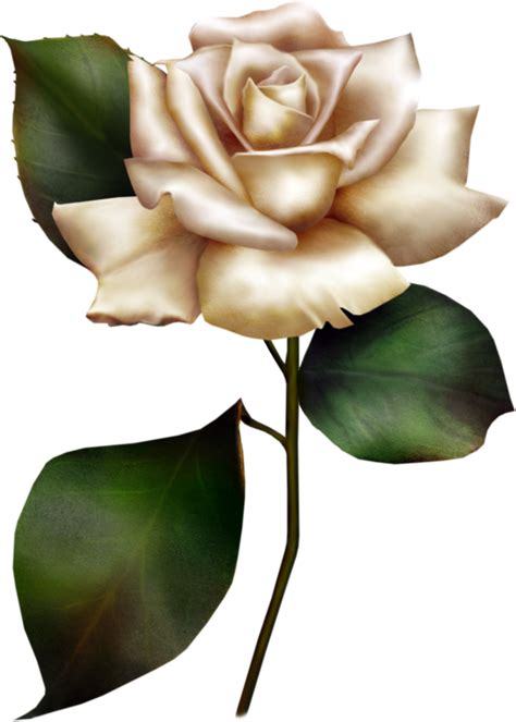 Free Yellow Rose Clipart Download Free Yellow Rose Clipart Png Images